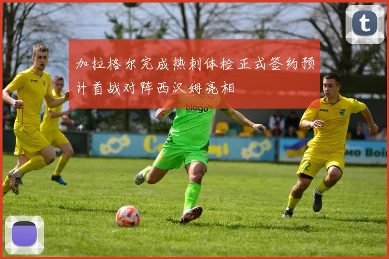 加拉格尔完成热刺体检正式签约预计首战对阵西汉姆亮相