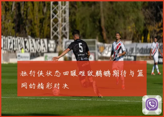 独行侠状态回暖难敌鹈鹕期待与篮网的精彩对决