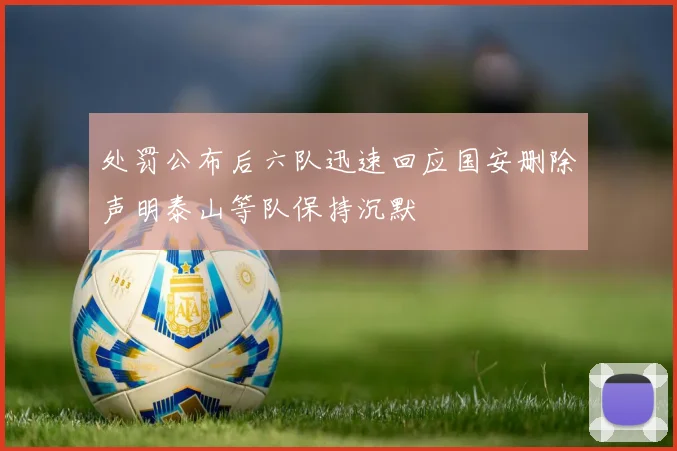 处罚公布后六队迅速回应国安删除声明泰山等队保持沉默