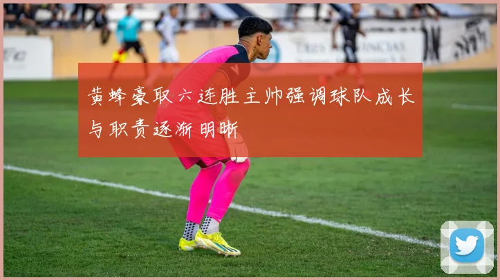 黄蜂豪取六连胜主帅强调球队成长与职责逐渐明晰